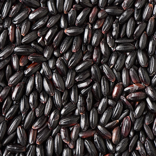 Black rice grains