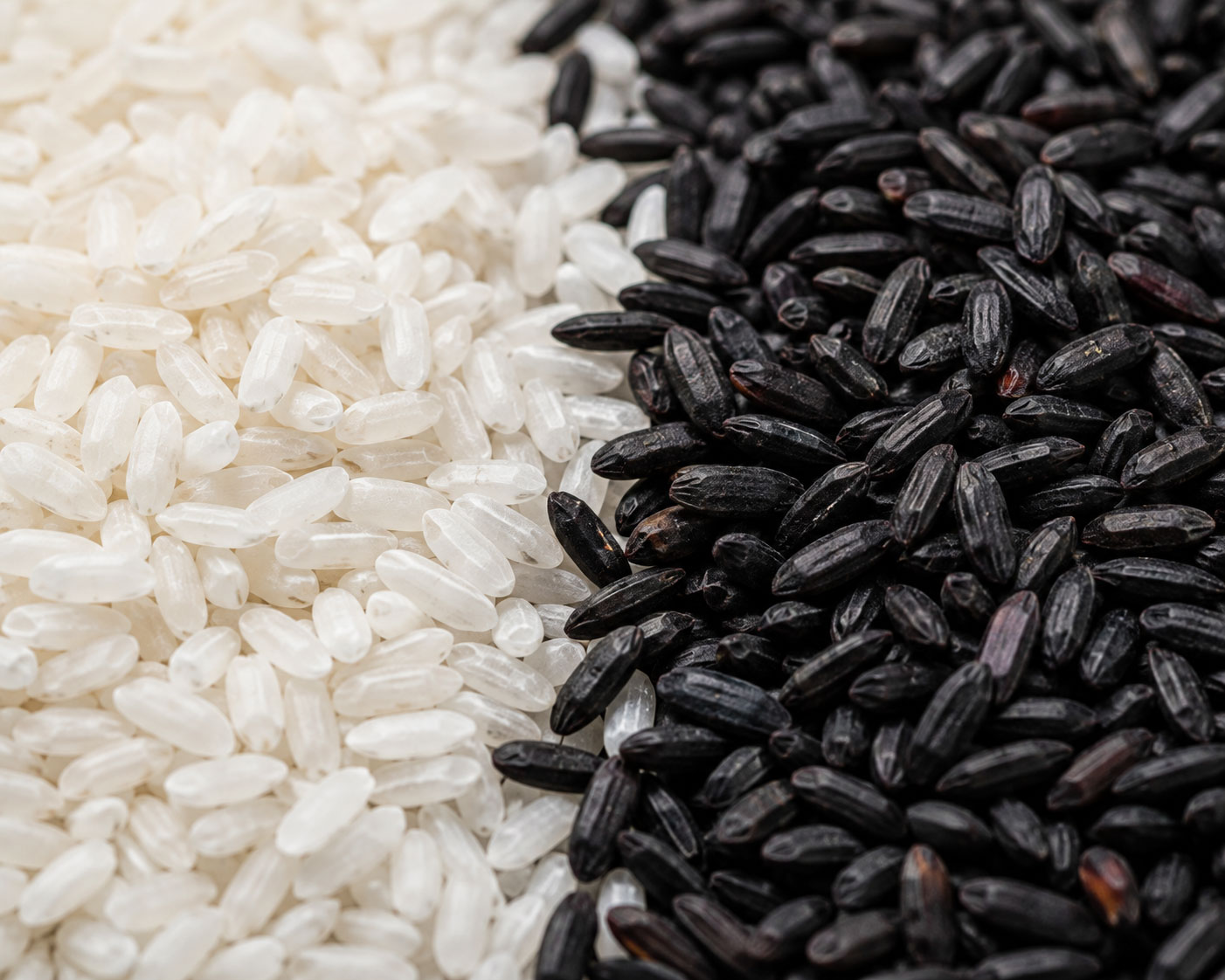Black and white rice grains used by Grindstone Blends