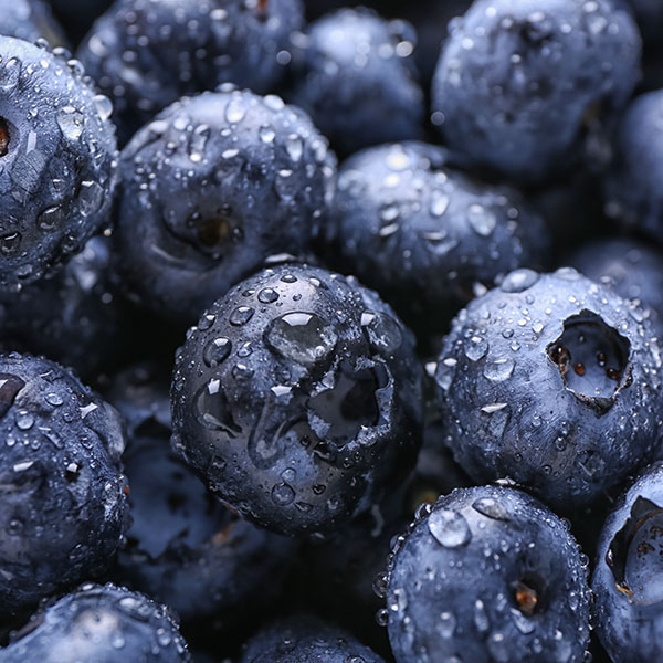 Fresh blueberries